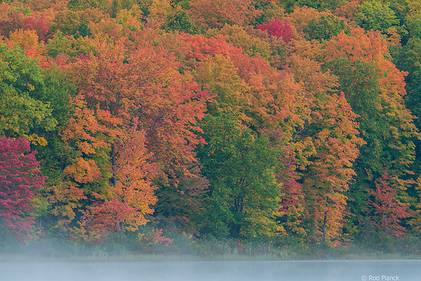 Autumn Beach and Maple Forest, Ottawa National Forest, Ultimate Autumn Forests and Lake Superior Shoreliine Tour, MI