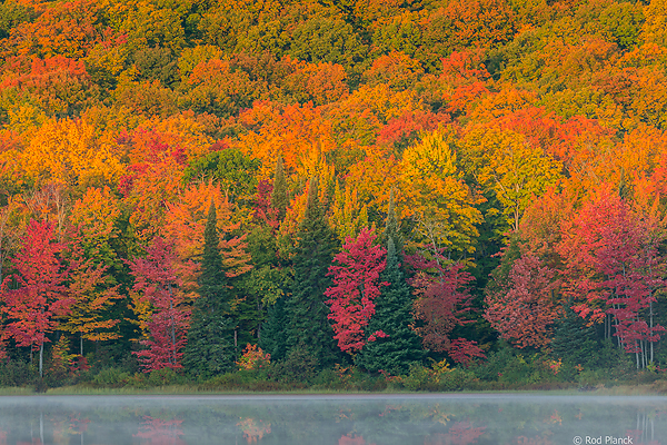 Autumn Beach and Maple Forest, Ottawa National Forest, Ultimate Autumn Forests and Lake Superior Shoreliine Tour, MI