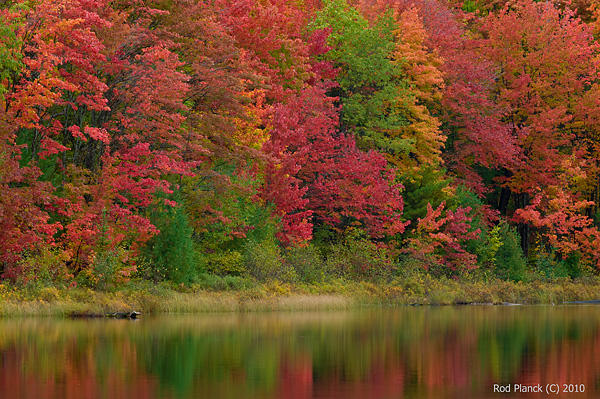 Autumn Reflections on Lake, Northern Michigan