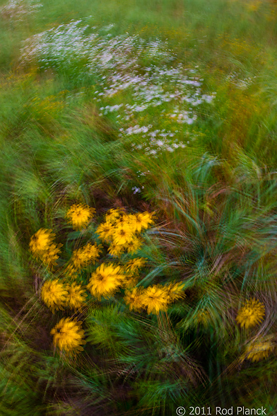 Tahquamenon Watershed, Seney National Wildlife Refuge and Niagara Escarpment, Michigan - All Skill Levels Workshop