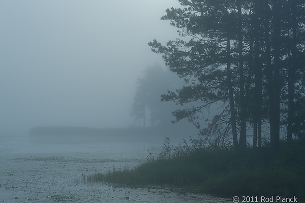 Tahquamenon Watershed, Seney National Wildlife Refuge and Niagara Escarpment, Michigan - All Skill Levels Workshop