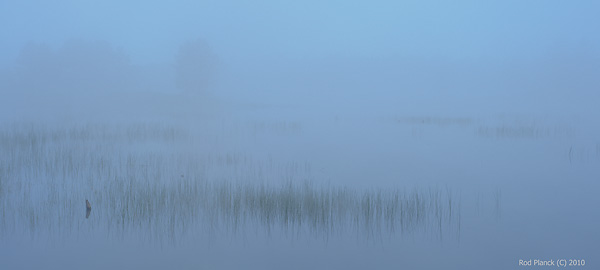 Fog Shrouded Pond, Northern Michigan