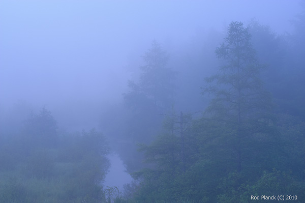 Fog Shrouded Stream, Northern Michigan