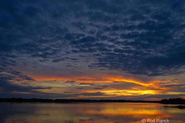 Sunset, Foggy Bogs and Dewy Insects Workshop, Michigan