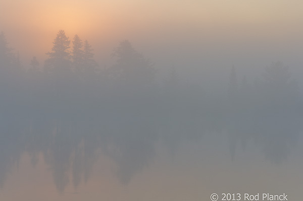 Foggy Bogs and Dewy Insects Workshop, Michigan