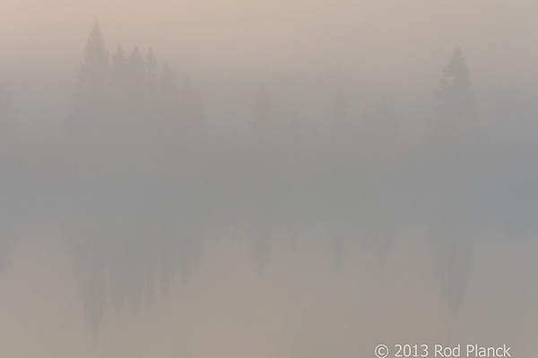 Foggy Bogs and Dewy Insects Workshop, Michigan