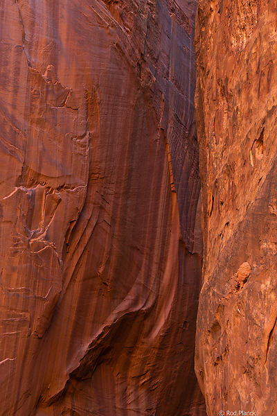 Wingate Sandstone, Grand Staircase-Escalante National Monument, UT