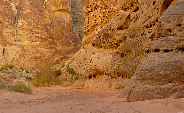 Lower Spring Canyon, Capitol Reef National Park, Utah