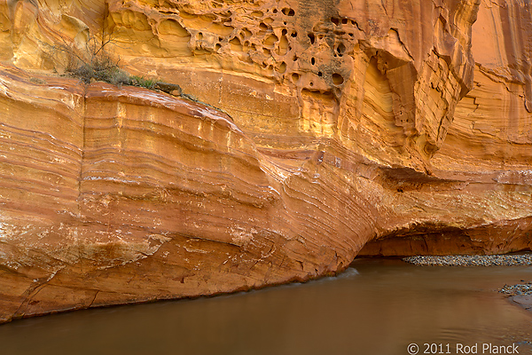 Fremont River, Capitol Reef National Park, Utah