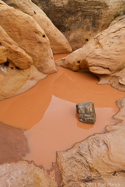 Canyon Narrows, Grand Staircase-Escalante National Monument, Utah