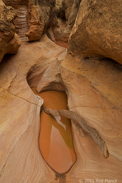 Canyon Narrows, Grand Staircase-Escalante National Monument, Utah