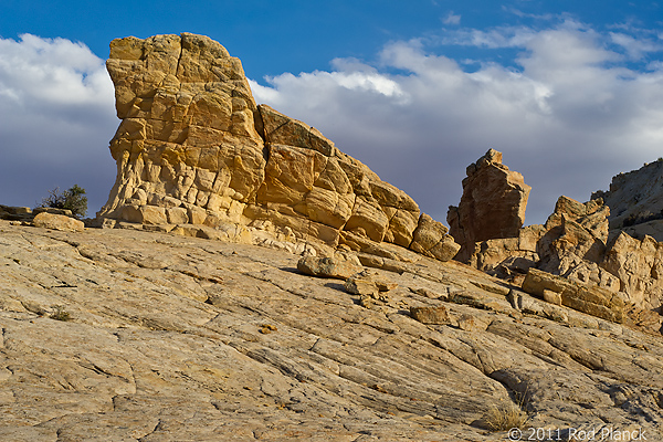 Sandstone Formation, Capitol Reef National Park, Utah