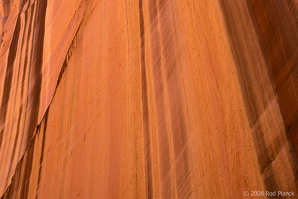 Wingate Sandstone, Capitol Reef National Park, Utah