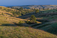 Wind Cave National Park, SD