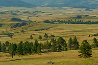 Badlands National Park, Wind Cave National Park, Custer State Park and National Grasslands, South Dakota