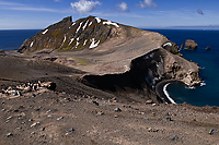 Chinstrap Penguin Colony, (Pygoscelis antarctica), Baily Head, Deception Island