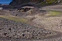 Chinstrap Penguin Colony, (Pygoscelis antarctica), Baily Head, Deception Island