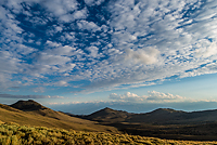 Bristlecone Pines and Landscapes of the Eastern Sierras Tour