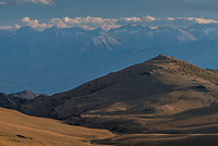 Bristlecone Pines and Landscapes of the Eastern Sierras Tour