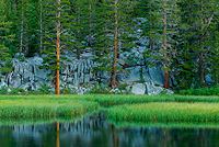 Bristlecone Pines and Landscapes of the Eastern Sierras Tour