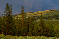 Bristlecone Pines and Landscapes of the Eastern Sierras Tour