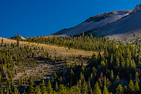 Bristlecone Pines and Landscapes of the Eastern Sierras Tour