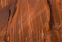 Upper Spring Canyon, Detail, Wingate Sandstone