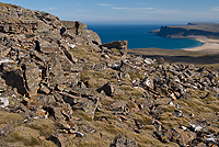 Overlooking Breidavik, Iceland