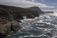 New Island, Falkland Islands