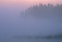 Dawn, Northern Michigan, Autumn