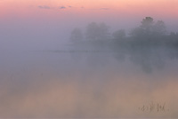 Dawn, Northern Michigan, Autumn