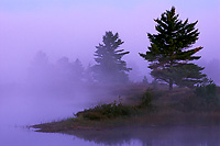 Dawn, Northern Michigan, Autumn