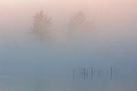 Foggy Dawn, Northern Michigan, Summer, Michigan