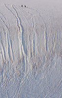 Hikers, Antarctic Peninsula