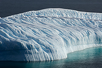 Iceberg, Cruising Along Antarctic Peninsula