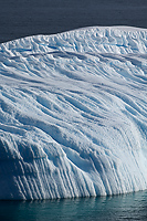 Iceberg, Cruising Along Antarctic Peninsula