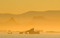 Icebergs, Petermann Island, Antarctica