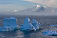 Iceberg, Booth Island, Antarctica