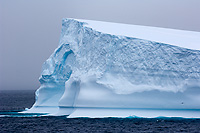 Iceberg(s) along Antarctic Peninsula, Austral Summer