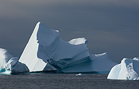 Icebergs, Cuverville Island