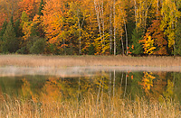 Nelson Lake, Autumn, Michigan