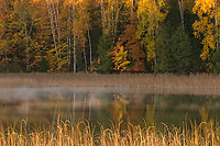 Nelson Lake, Autumn, Michigan