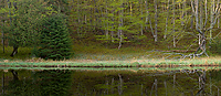 Pond, Spring, Pictured Rocks National Lakeshore, Michigan