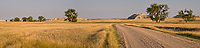 Road to Flat Top Butte, South Dakota, Panoramic