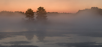 Foggy Morning, Northern Michigan