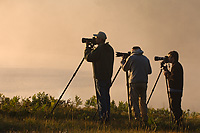 Workshop Participants Photographing, Dawn, Summer, Michigan, Kyle Troyer, Mike Moen, David Jones