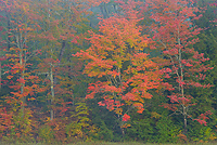 Porcupine Mountains Wilderness State Park and Environs, Michigan - Attractions