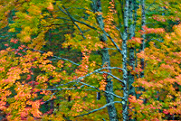 Porcupine Mountains Wilderness State Park, Michigan - Attractions Multiple Exposure