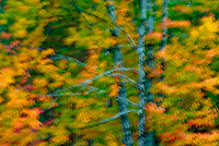 Porcupine Mountains Wilderness State Park, Michigan - Attractions Multiple Exposure