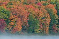 Autumn Beach and Maple Forest, Ottawa National Forest, Ultimate Autumn Forests and Lake Superior Shoreliine Tour, MI